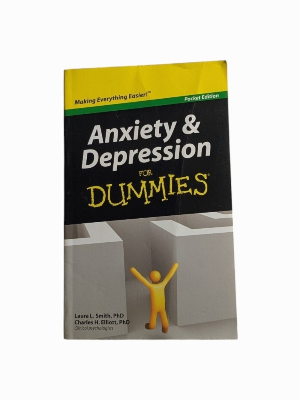 Anxiety and Depression For Dummies Pocket Paperback Book